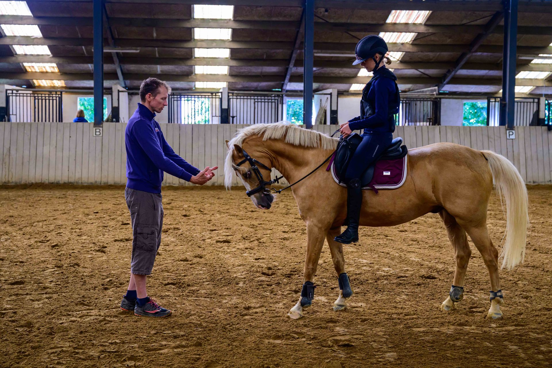 sportif et invervenant